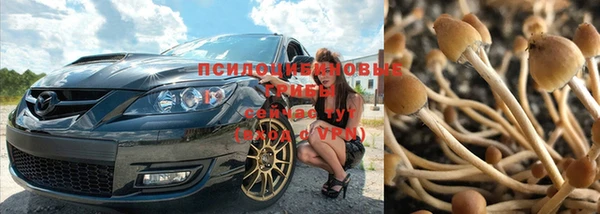 соль курить ск Пересвет