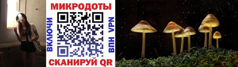 Псилоцибиновые грибы Psilocybe  купить наркотик  Таштагол 