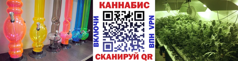 Бошки марихуана Bruce Banner Таштагол
